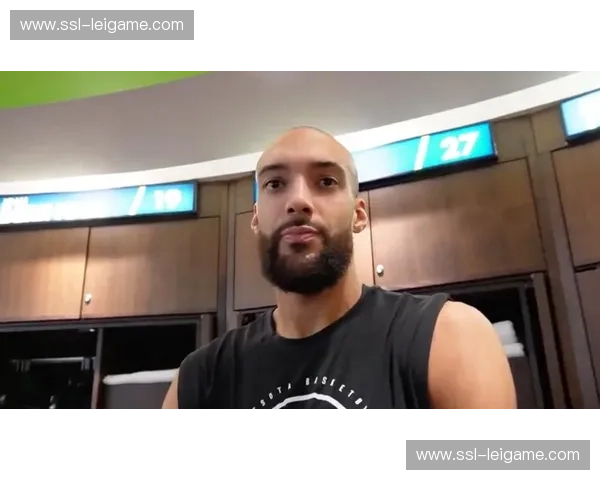 鲁迪戈贝尔体系价值依旧，森林狼防守效率依赖其护筐