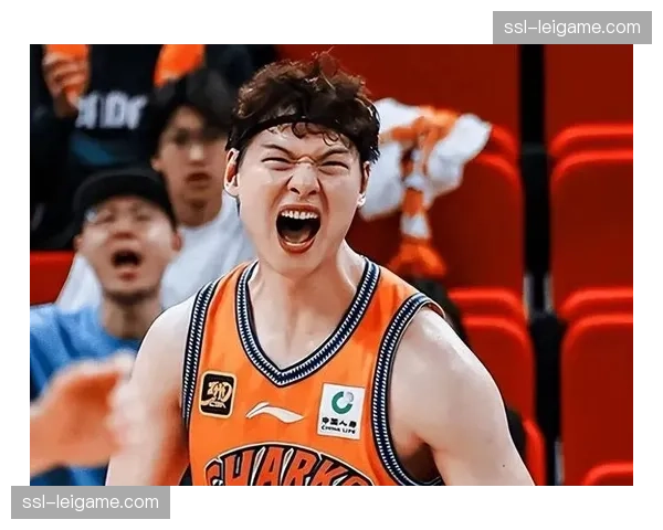 上海王哲林怀特塞德洛夫顿 内线三大强点优势明显 上海王哲林怀特塞德洛夫顿 内线三大强点优势明显